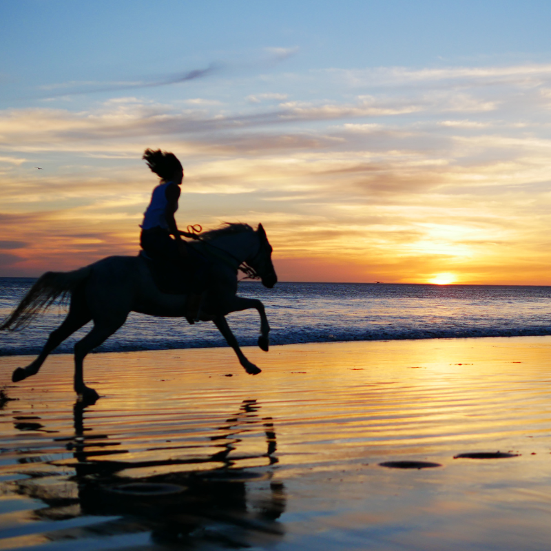 horseback riding san juan del sur nicaragua